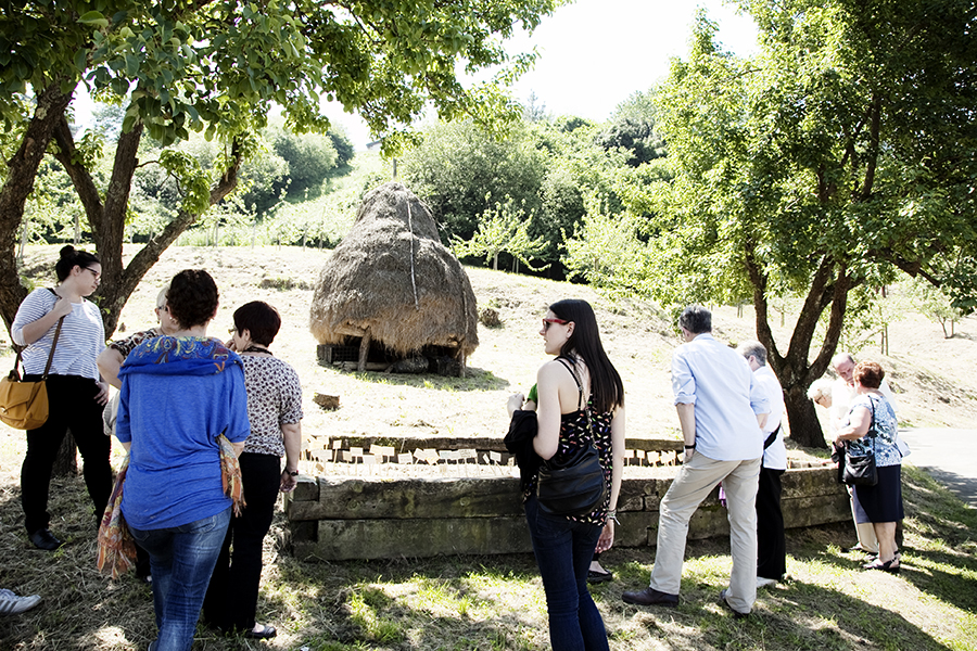Sagardoetxea Museoa